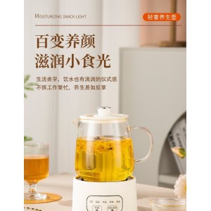 小型电热煮茶壶玻璃办公 室烧水壶